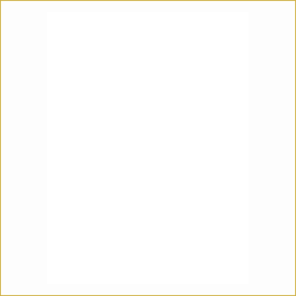 Canetas Promocionais — CANETAS ESFEROGRÁFICAS - PLASTICO - 10g — 36 x 5.2 — Cor 4X4 (50 unids.)